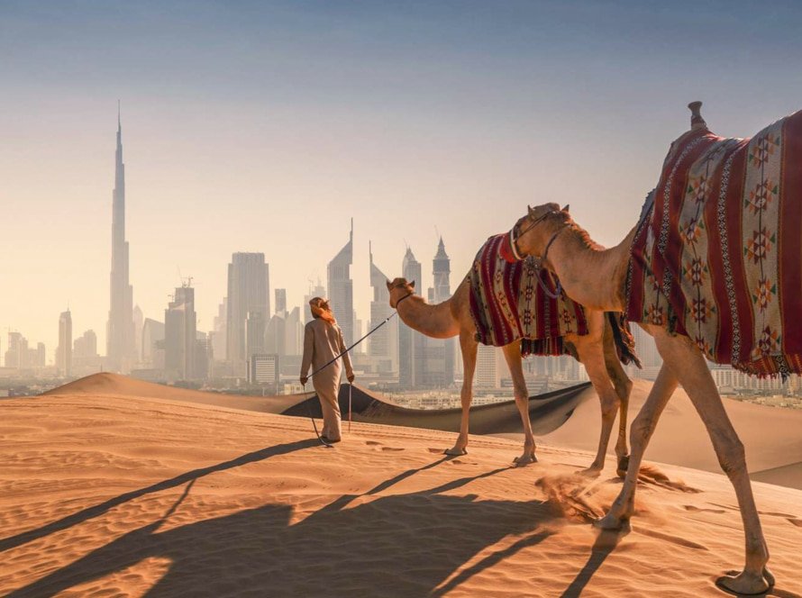 A-wonderful-shot-of-a-camel-from-the-Dubai-desert